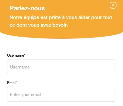 Fenêtre du chat en direct Donbet ouverte sur le site